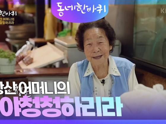 KBS 동네한바퀴