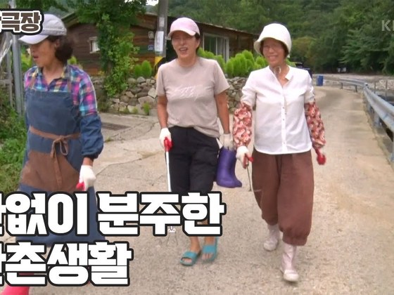 KBS 인간극장